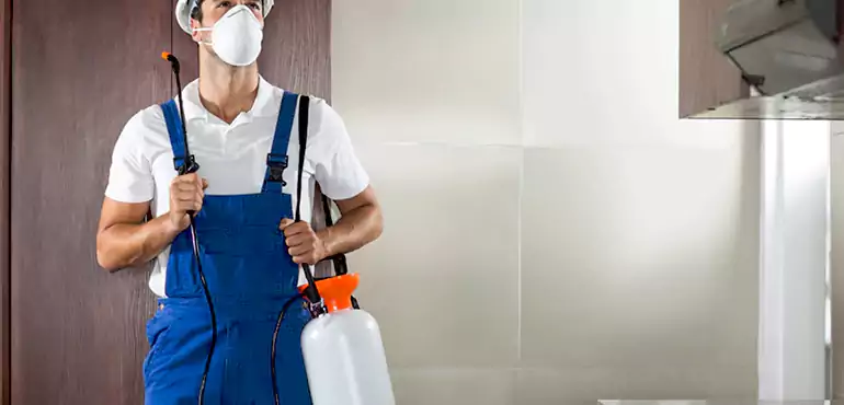 Why Chula Vista Homeowners Choose Us When Pests Make Selling Difficult